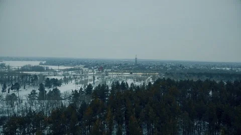 Flight over coniferous forest Stock Footage 85898130