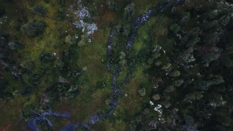 Flight over the coniferous forest in the mountains. Ergaki National Park. Stock Footage 169414011