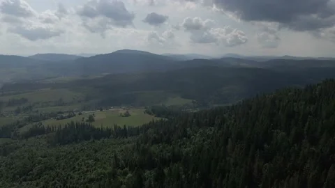 Flight over the coniferous forest. Summer in forest aerial top view. Multi clip. Stock Footage 138205926