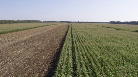 Flight over corn field and harvester Stock Footage 123777693