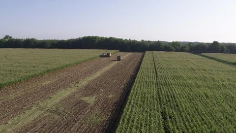 Flight over corn field, harvester and truck Stock-Footage 123775230