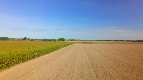 Flight over corn field in late summer. AERIAL video. Stock Footage 160431647