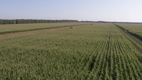 Flight over corn field near harvester 動画素材 123775126