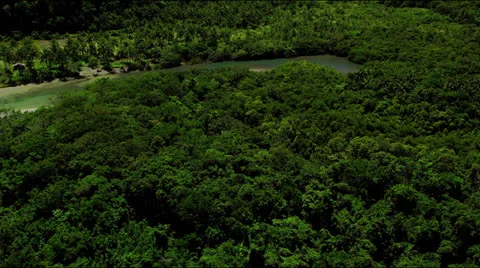 Flight over costal rainforest and mangrove Video stock 25333310