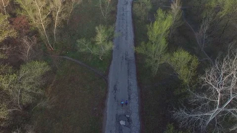 Flight over a couple that strolls along a country road Stock-Footage 74470694