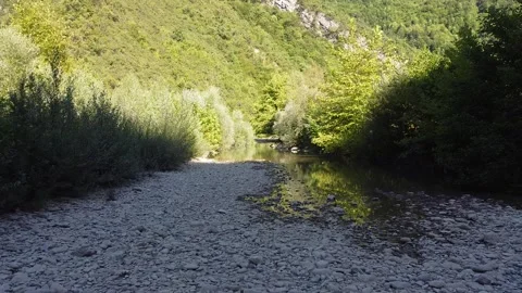Flight over creek Stock Footage 195185370