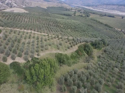 Flight over crop fields of a small farming town in south Italy Stock Footage 72436901