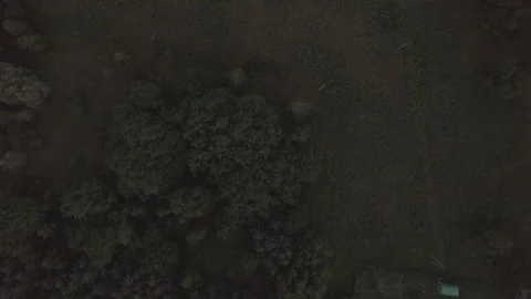 Flight over dark evening forest. 4k aerial drone footage 스톡 동영상 91804099