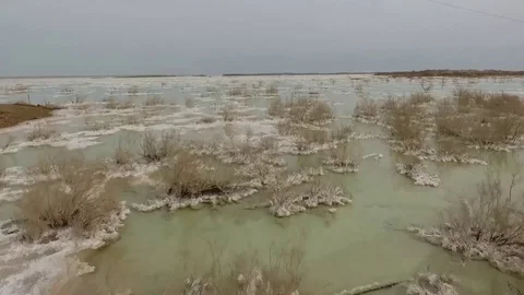 Flight over the dead sea. salt, water and dried shrubs. dead sea. Israel. Stockbeeldmateriaal 83858736