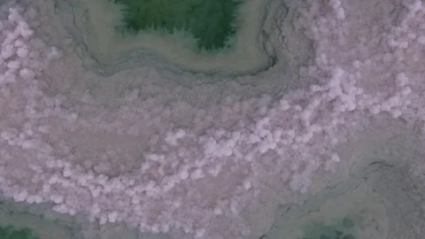 Flight over the dead sea. salt, water and dried shrubs. dead sea. Israel. Stockbeeldmateriaal 83858745