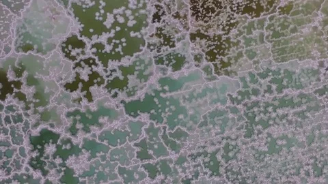 Flight over the dead sea. salt, water and dried shrubs. dead sea. Israel. Stockbeeldmateriaal 83858761