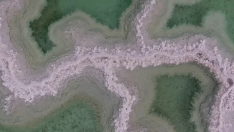 Flight over the dead sea. salt, water and dried shrubs. dead sea. Israel. Stockbeeldmateriaal 83858797