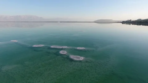 Flight over the dead sea. salt, water and dried shrubs. dead sea. Israel. Stockbeeldmateriaal 83859600