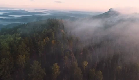 Flight over dense coniferous forest and mountain in early morning fog Stock Footage 218232213