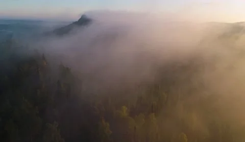 Flight over dense coniferous forest and mountain in early morning fog Видео 218232352