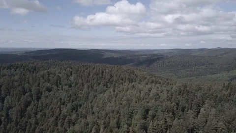 Flight over dense forest and mountains on a sunny day 2k7 ungraded 02 Stock Footage