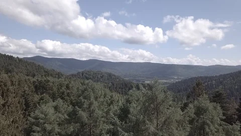 Flight over dense forest and mountains on a sunny day 2k7 ungraded 01 Stock Footage 105851702