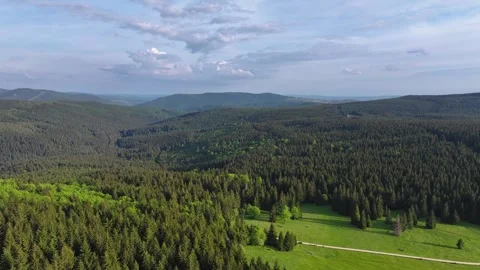 Flight over a dense forest in partly cloudy weather. Stock Footage 294386609