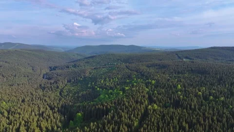 Flight over a dense forest in partly cloudy weather. Stock Footage 294388693