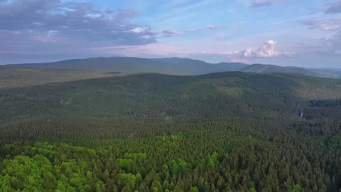 Flight over a dense forest in partly cloudy weather. Stock Footage 294388860