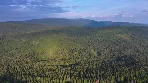 Flight over a dense forest in partly cloudy weather. Stock Footage 294388923