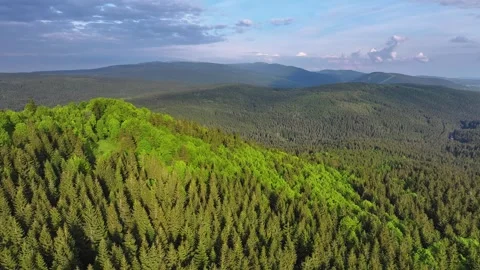 Flight over a dense forest in partly cloudy weather. Stock Footage 294389056
