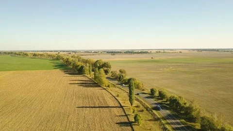 Flight over dirt road through farm fields, aerial video Stock Footage 96312954