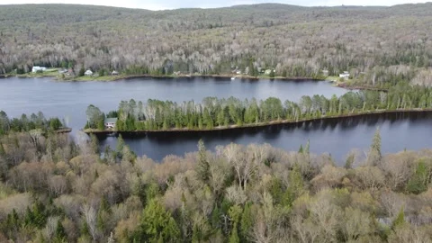 Flight Over a Double-Lake Surrounded by Trees Stock Footage 158119574