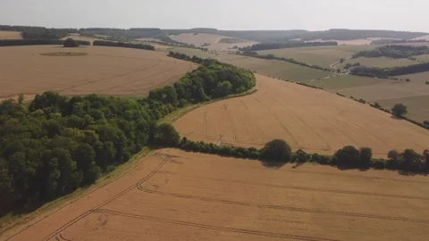 Flight over dry ripe wheatfields in the Wylye Valley, Wiltshire. High summer 库存影片 339495731