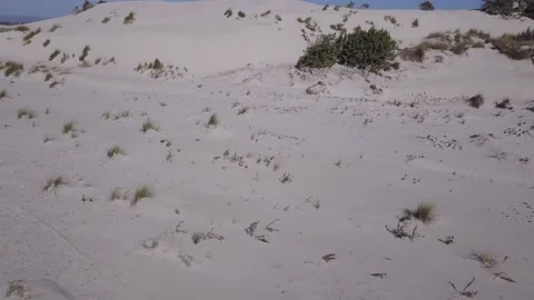 Flight over the dunes Stock Footage 170880652