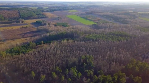 Flight over early spring forest in Poland, 4k aerial video with rural landscape. Video stock 127794485