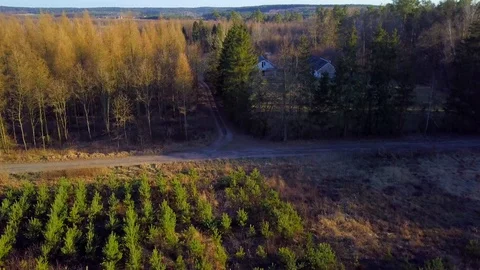 Flight over early spring forest in Poland, 4k aerial video with rural landscape. Stock Footage 127794531