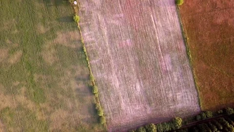Flight over early summer fields. Top down view. Stock Footage 245308877