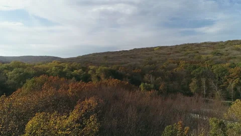 Flight over the edge of the autumn forest with a view of the clouds Video stock 153025284