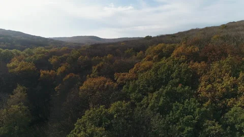 Flight over the edge of the autumn forest Video stock 153025370