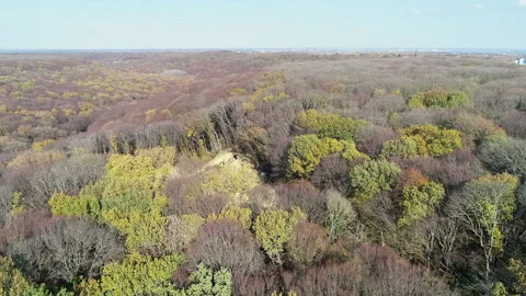 Flight over the edge of the forest on a clear sunny day Stock Footage 153024585