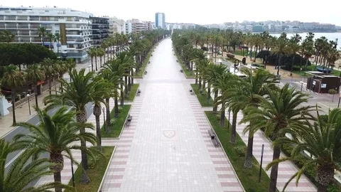 Flight over empty pedestrian zone between palms on seafront Video stock 103298951