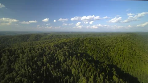 Flight over an endless green forest Stock Footage 145293565