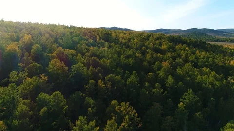 Flight over the endless Siberian forest Stock Footage 87790112