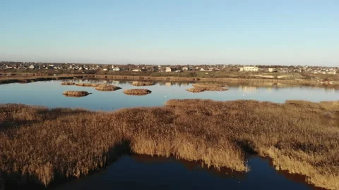 Flight over the estuary of a river. There are dry grass and reeds on the water Stock Footage 157826495