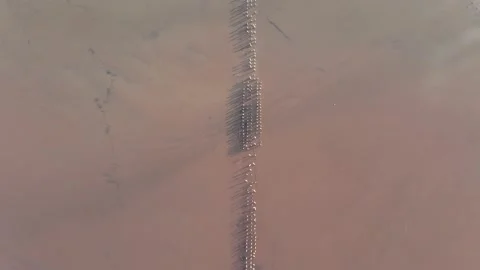 Flight Over the Estuary at Sunset. Healing Mud. Satellite View Vídeos de archivo 133818986