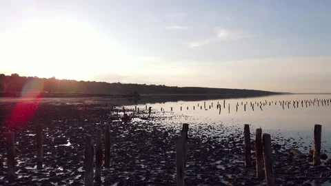 Flight Over the Estuary at Sunset. Healing Mud. Satellite View Stock Footage 133822426