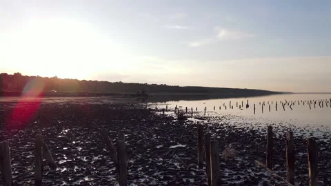 Flight Over the Estuary at Sunset. Healing Mud. Satellite View Vidéo 133822582