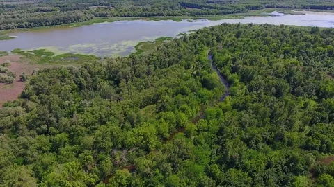 Flight over the evergreen forest in the river valley Stock Footage 83723027