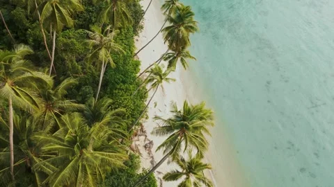 Flight Over Exotic Beach with Palms, Azure Sea, White Sand on Samui, Thailand Stock Footage 279932846