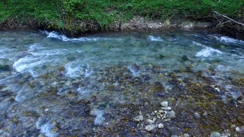 Flight over fast mountain river along tree roots and rocks Stock-Footage 101618988