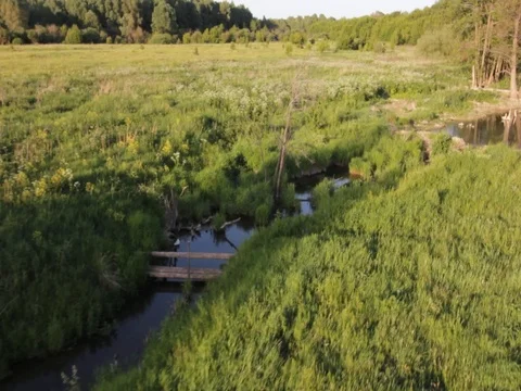 Flight over the feild.Nature.Helicopter Stock Footage 100192472