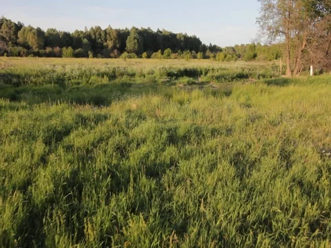 Flight over the feild.Nature.Helicopter.Sun Stock Footage 100322386