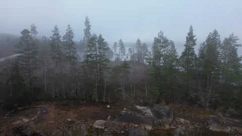 Flight over a few trees into the fog hanging over a large lake Stock-Footage 319825624