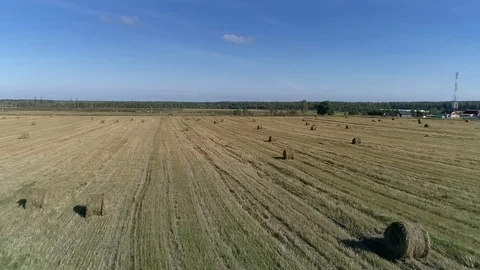 Flight over the field. Aerial survey. 스톡 동영상 80872933